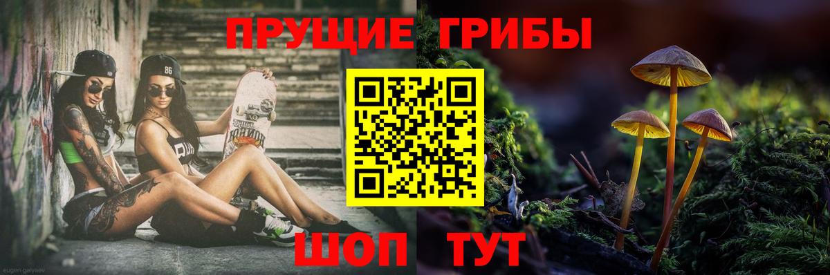 Галлюциногенные грибы Cubensis Жигулёвск